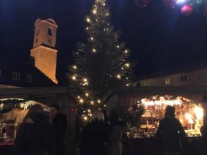 Marktweihnacht 2017 (7) (Large)